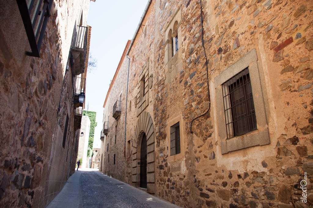 Palacio Paredes-Saavedra, Cáceres